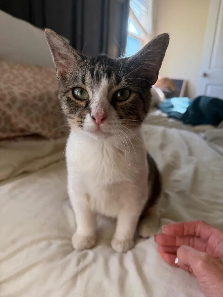 Singleton thumbnail 2