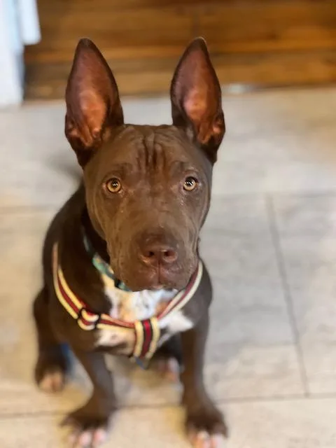 Perfect Janey  Videos! thumbnail 2