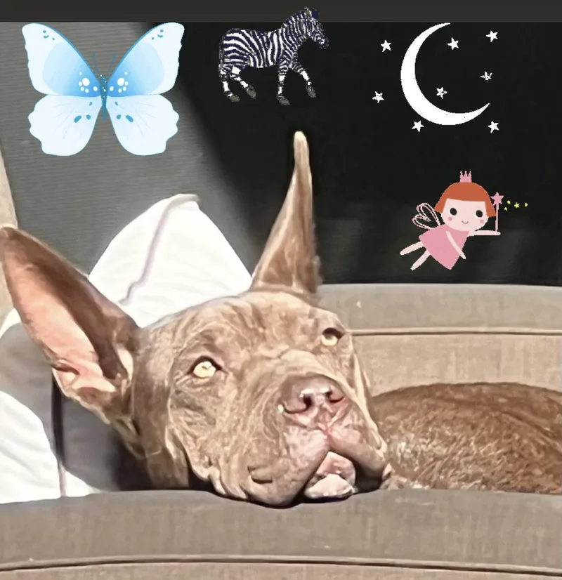 Perfect Janey  Videos! thumbnail 3