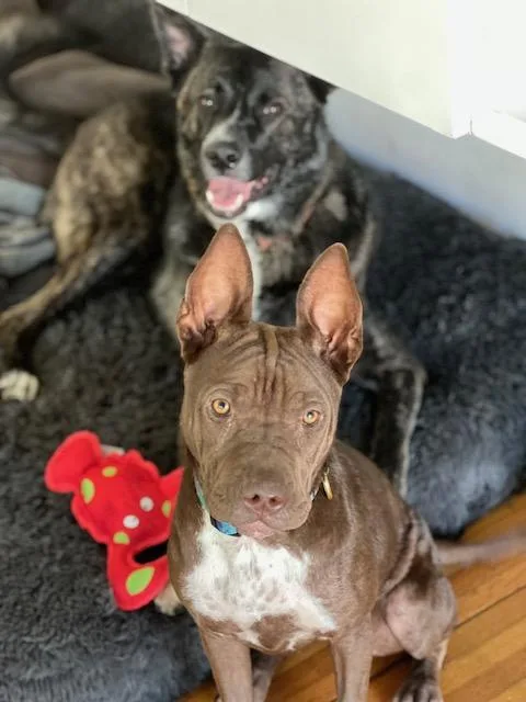 Perfect Janey  Videos! thumbnail 4