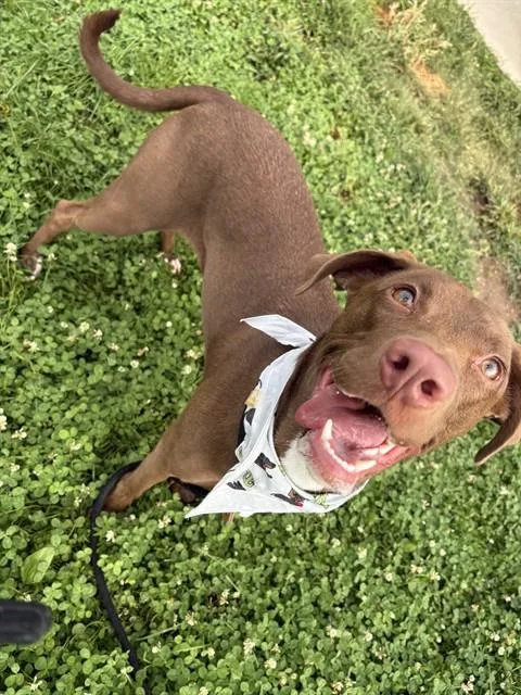 Luna