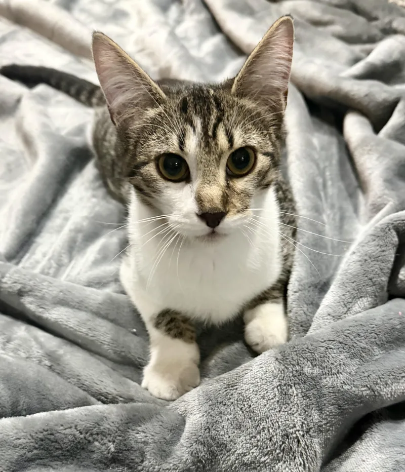 Ernie thumbnail 2