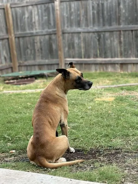 Chloe Sunshine thumbnail 2