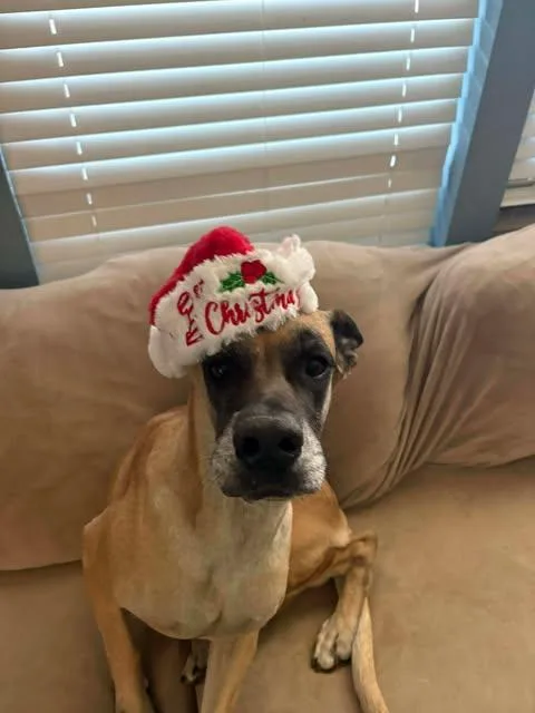 Chloe Sunshine thumbnail 4