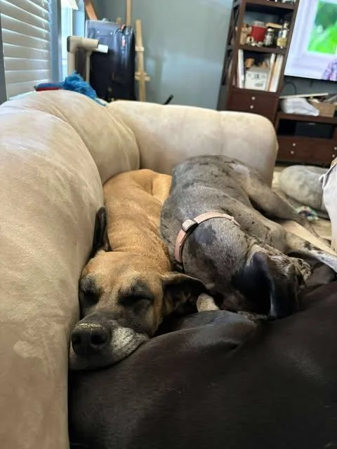 Chloe Sunshine thumbnail 5