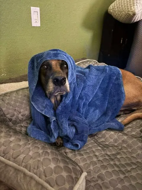 Chloe Sunshine thumbnail 6