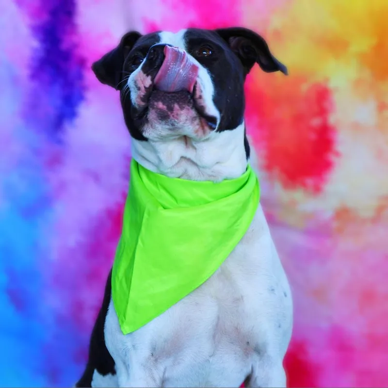 Betamax Jum thumbnail 2