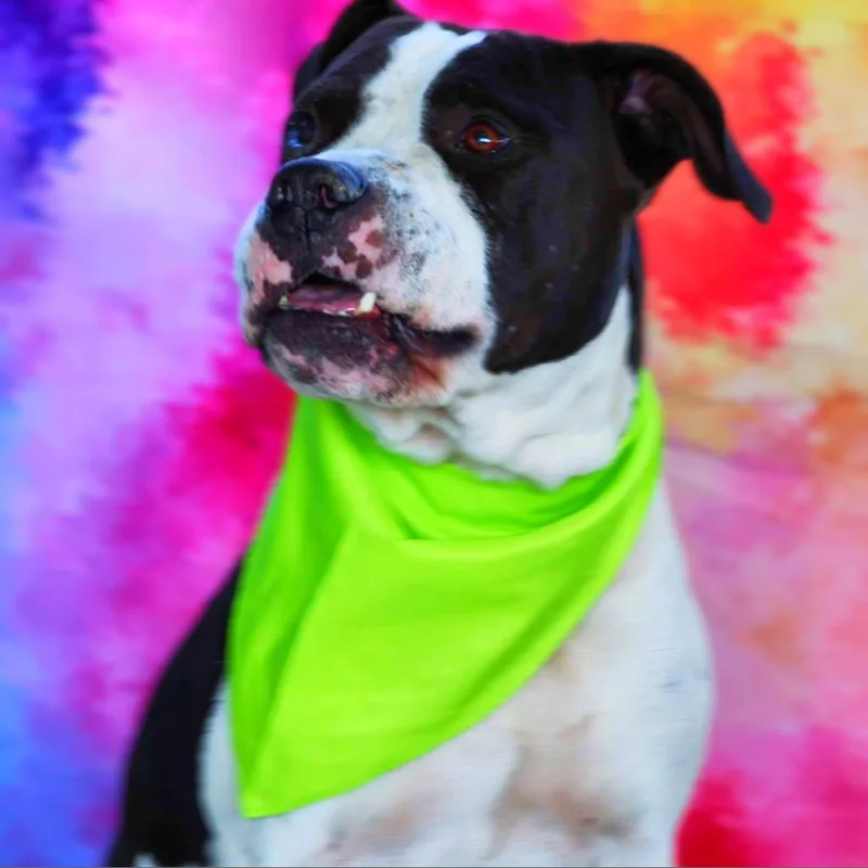 Betamax Jum thumbnail 3