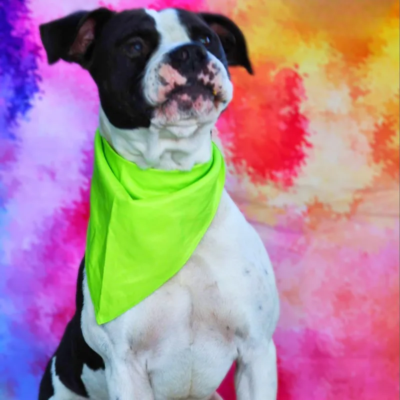 Betamax Jum thumbnail 4