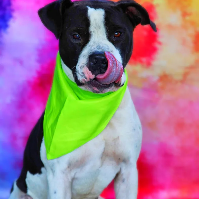 Betamax Jum thumbnail 5