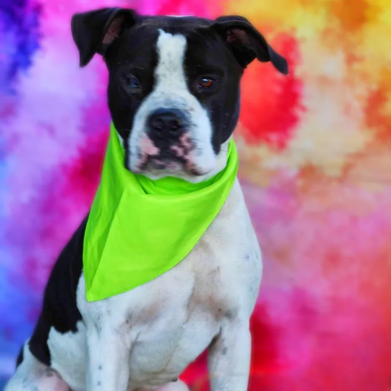 Betamax Jum thumbnail 6