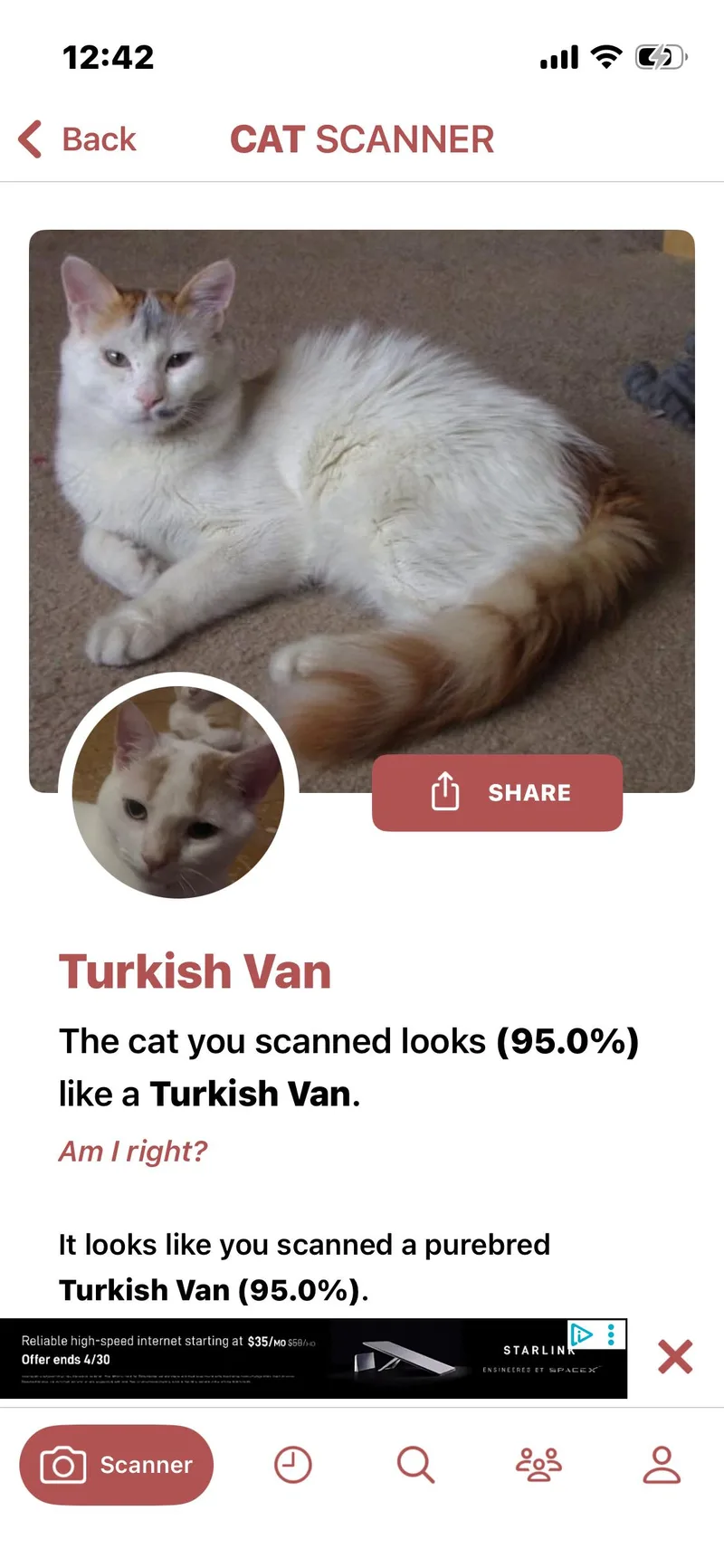 Marmalade thumbnail 4