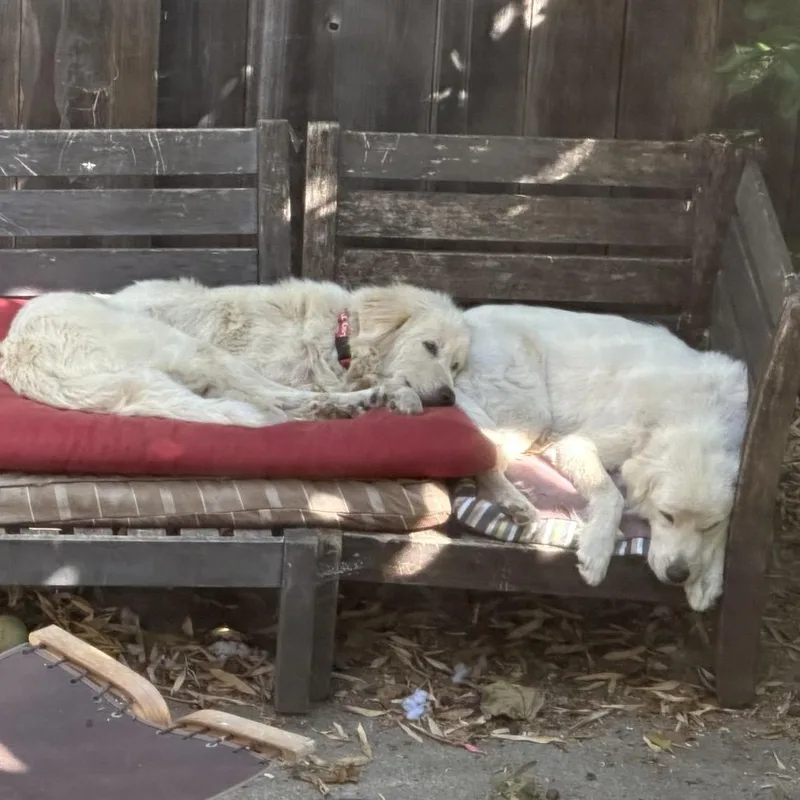 Madeline thumbnail 2