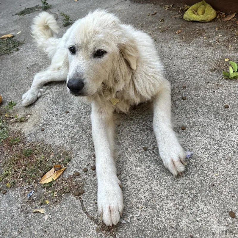 Madeline thumbnail 3