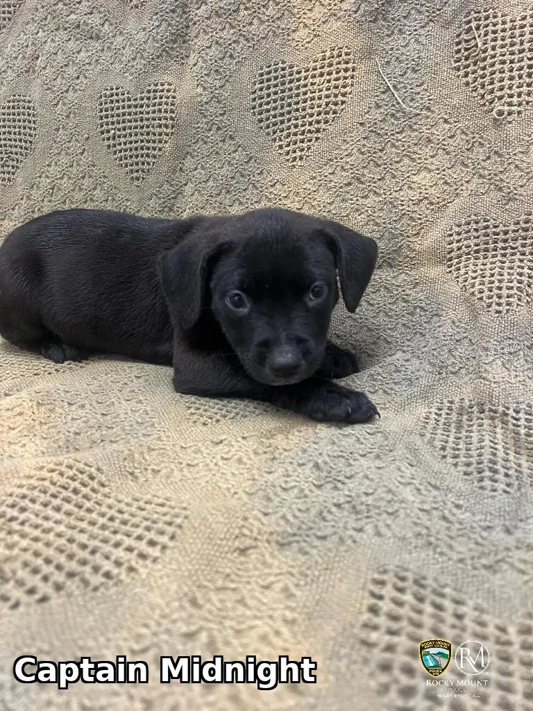 Captain Midnight