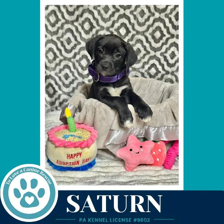 Saturn thumbnail 2