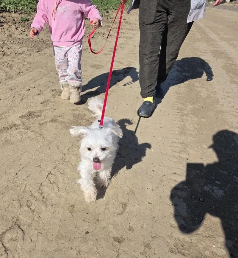 Rosie thumbnail 3