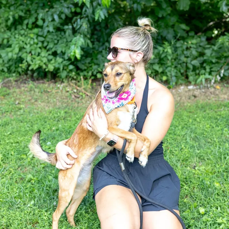 PippaAvail thumbnail 4