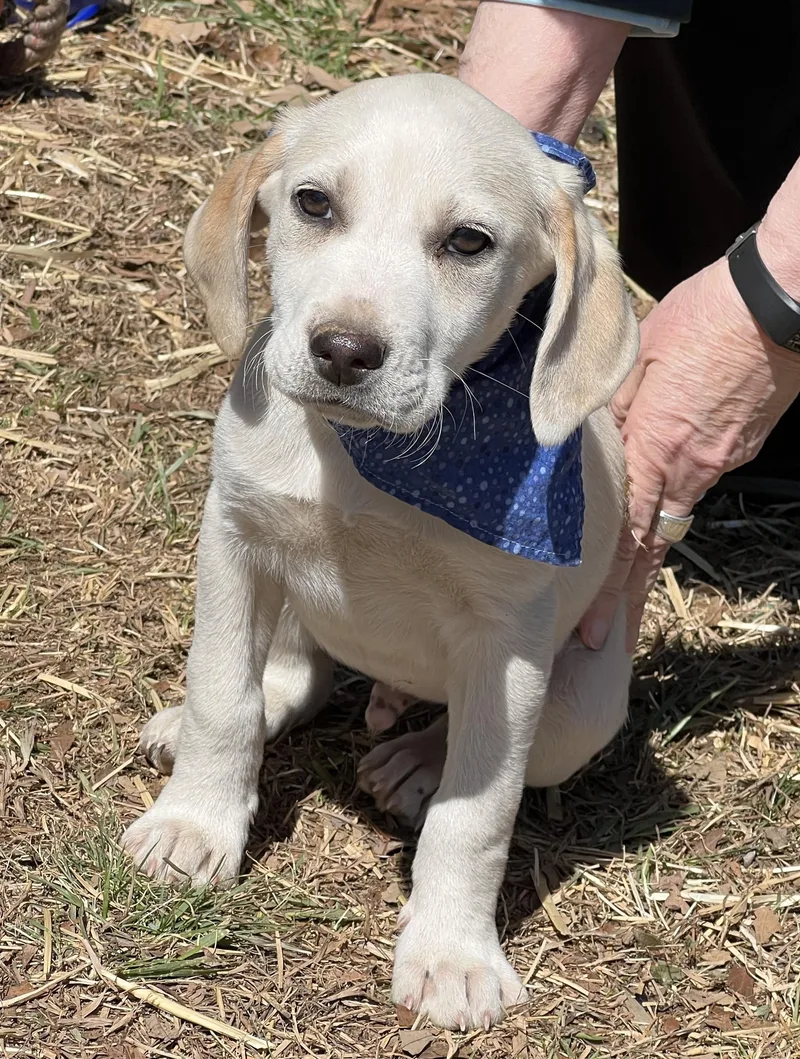 Finnegan thumbnail 6