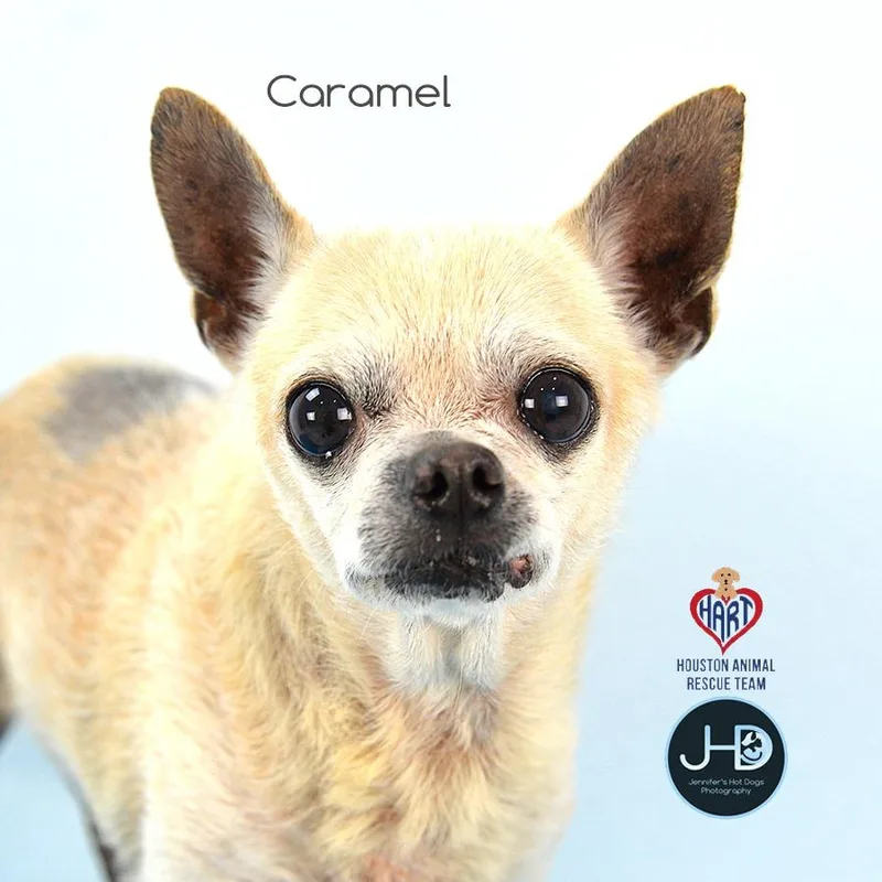 Caramel