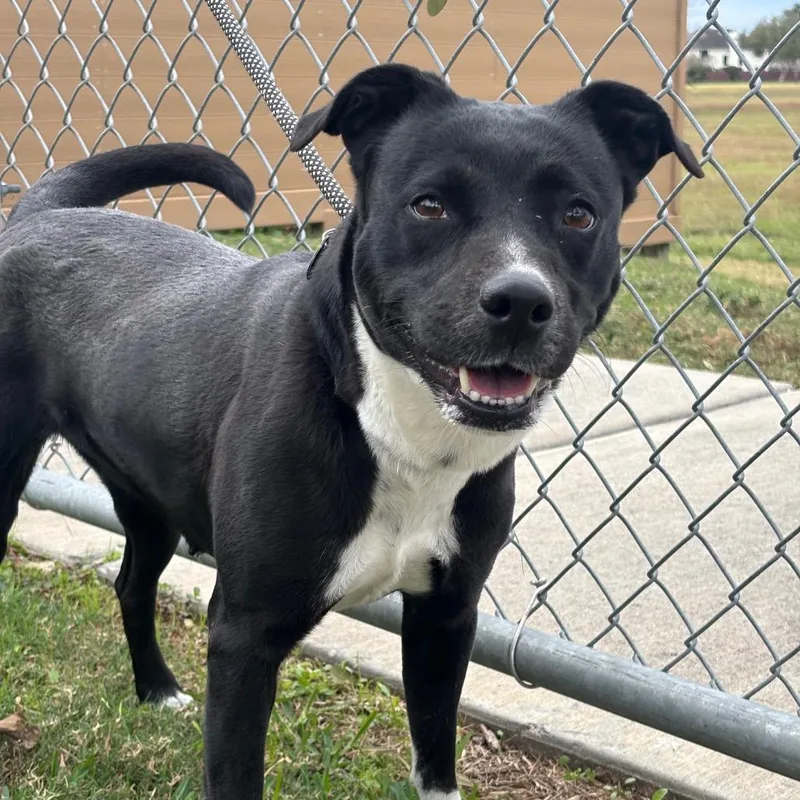 Macarena thumbnail 2