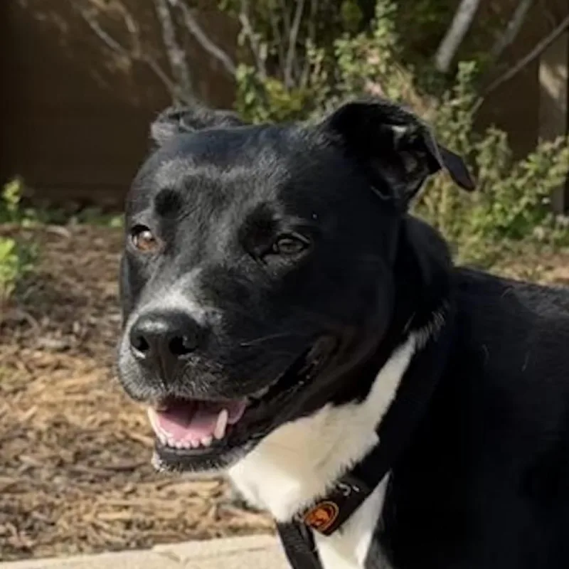 Macarena thumbnail 3