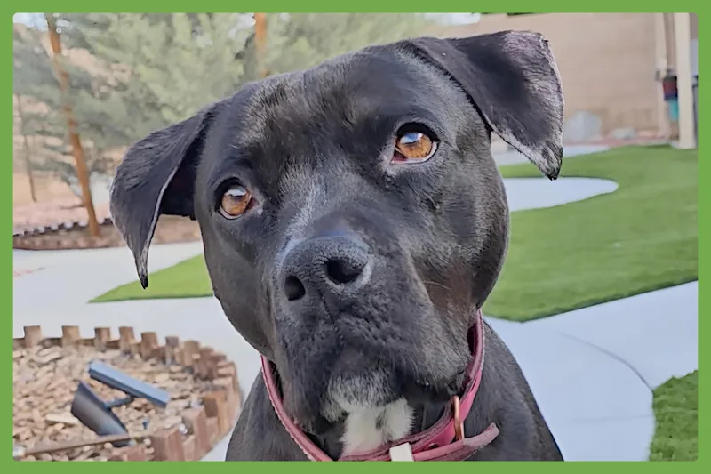 Lola thumbnail 5