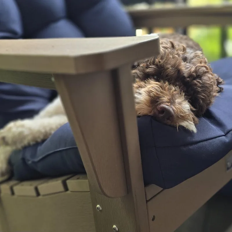 Murphey thumbnail 2