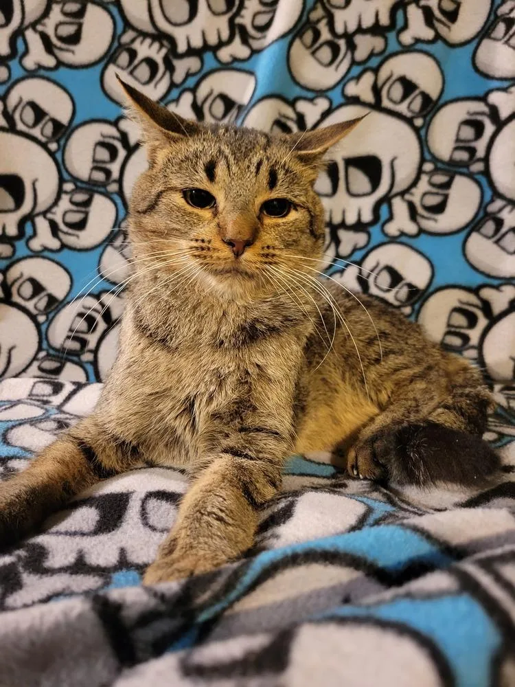 Eddie thumbnail 6
