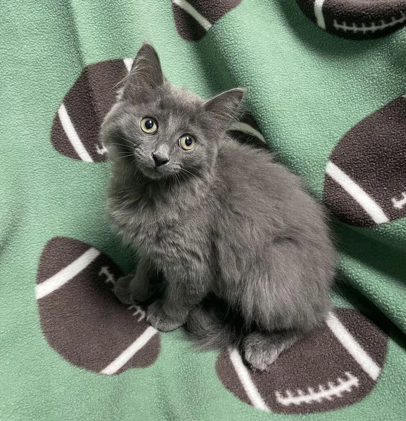 Edna