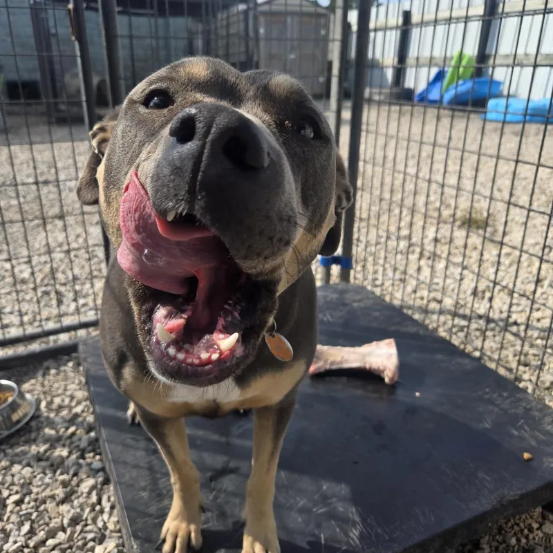 Califorinia thumbnail 2