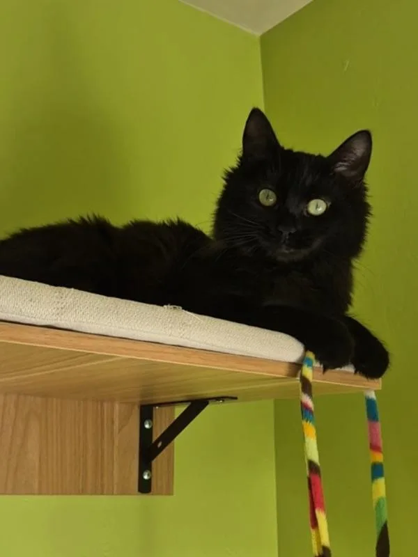Sabrina
