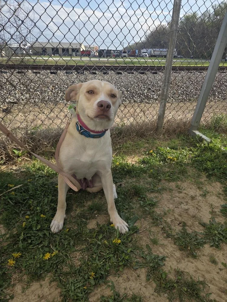 Jelly Fish thumbnail 2