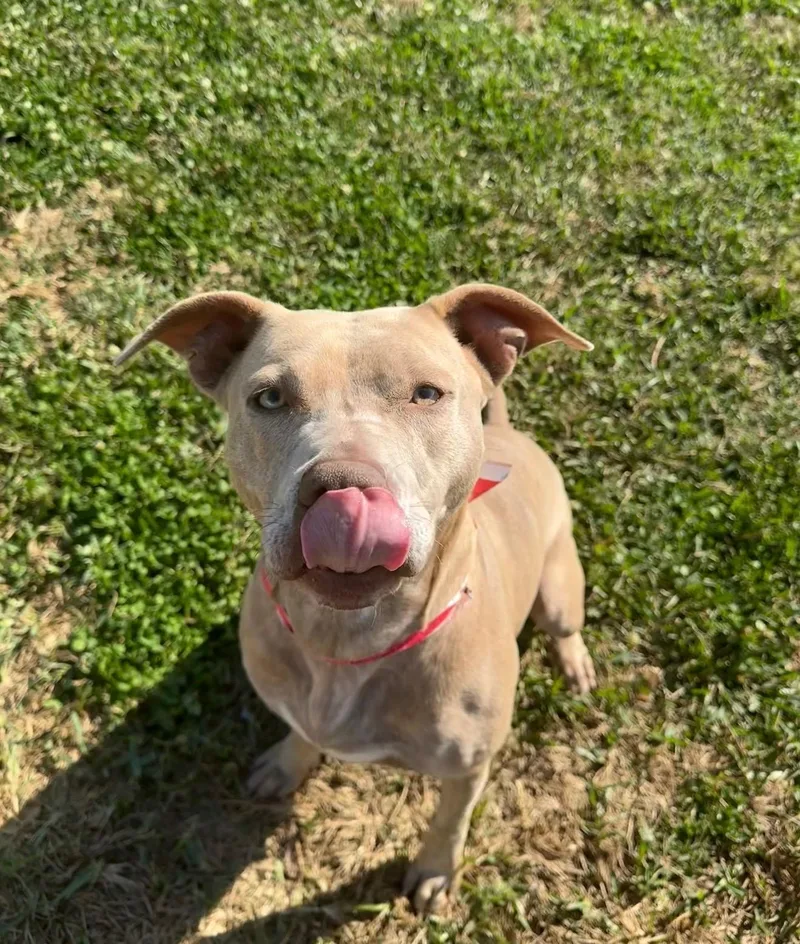 Baby Girl thumbnail 3