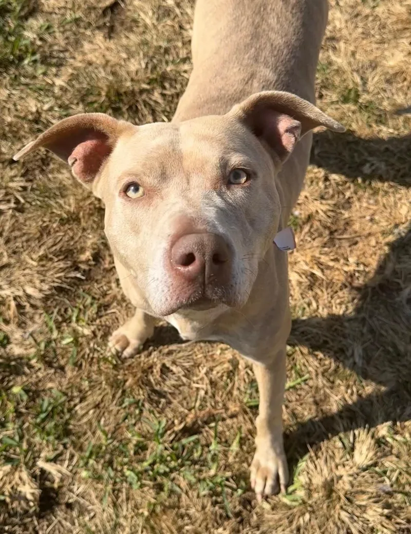 Baby Girl thumbnail 4