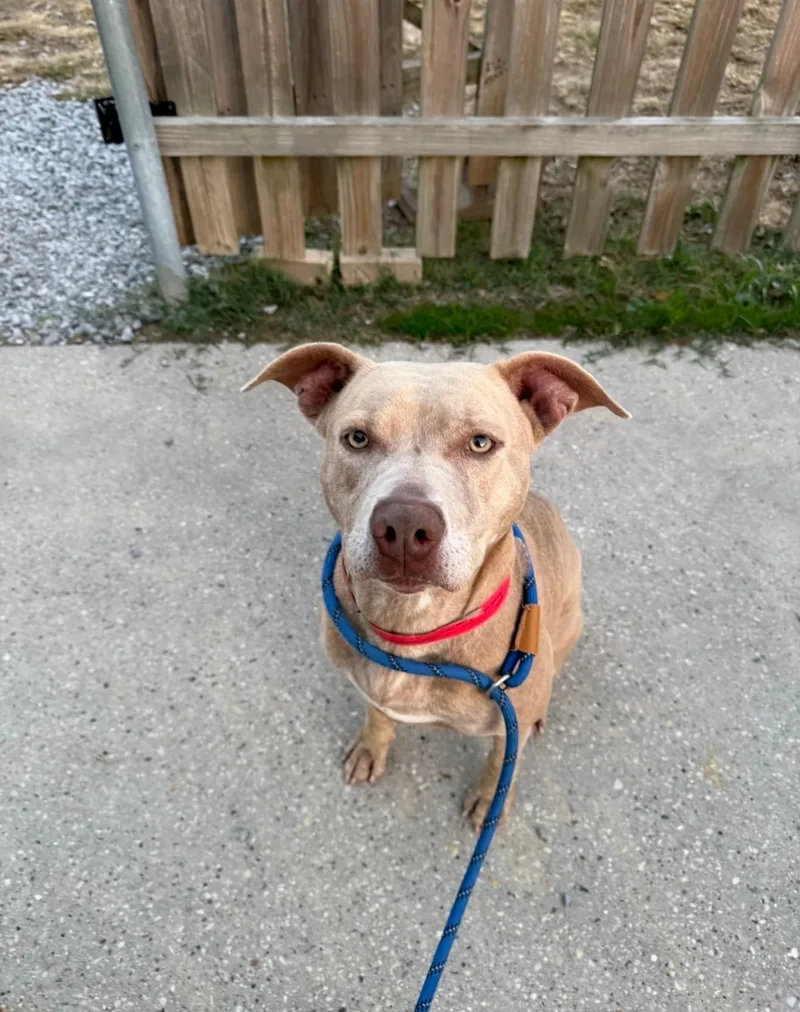 Baby Girl thumbnail 5