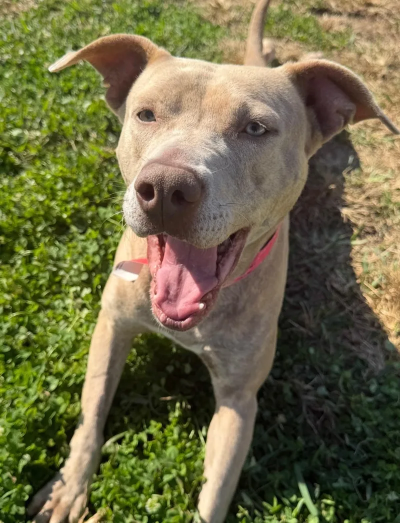 Baby Girl thumbnail 6