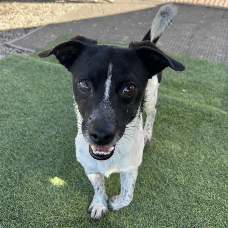 Matthewa thumbnail 3