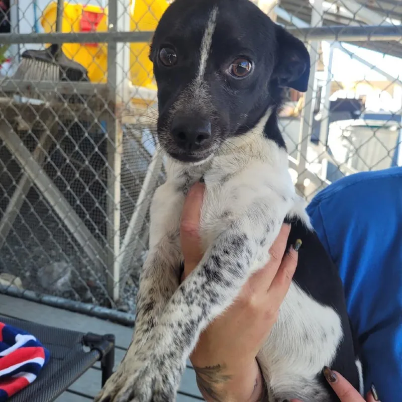 Matthewa thumbnail 4