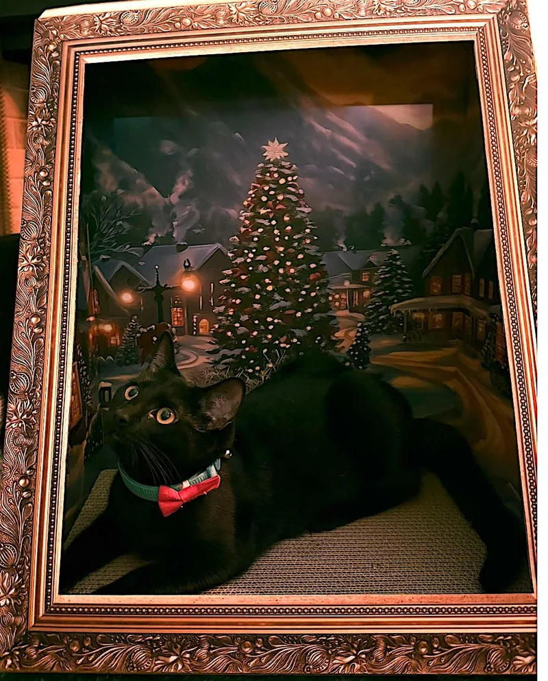 Purretha Franklin thumbnail 2