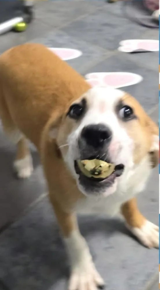 Marion Bros : Milo thumbnail 2