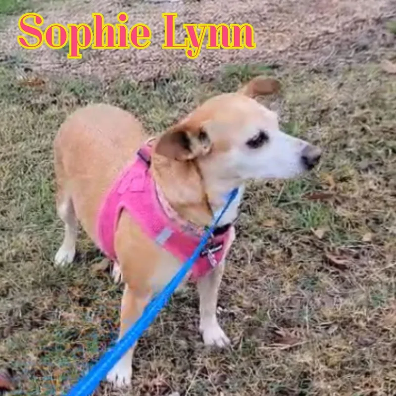 Sophie Lynn thumbnail 2