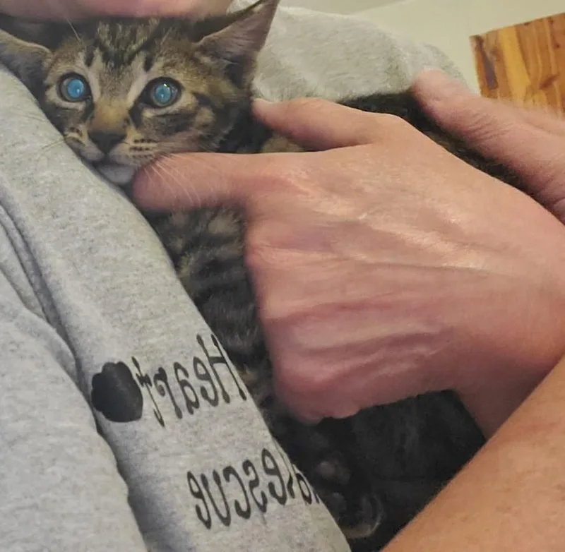 Giovanni thumbnail 3