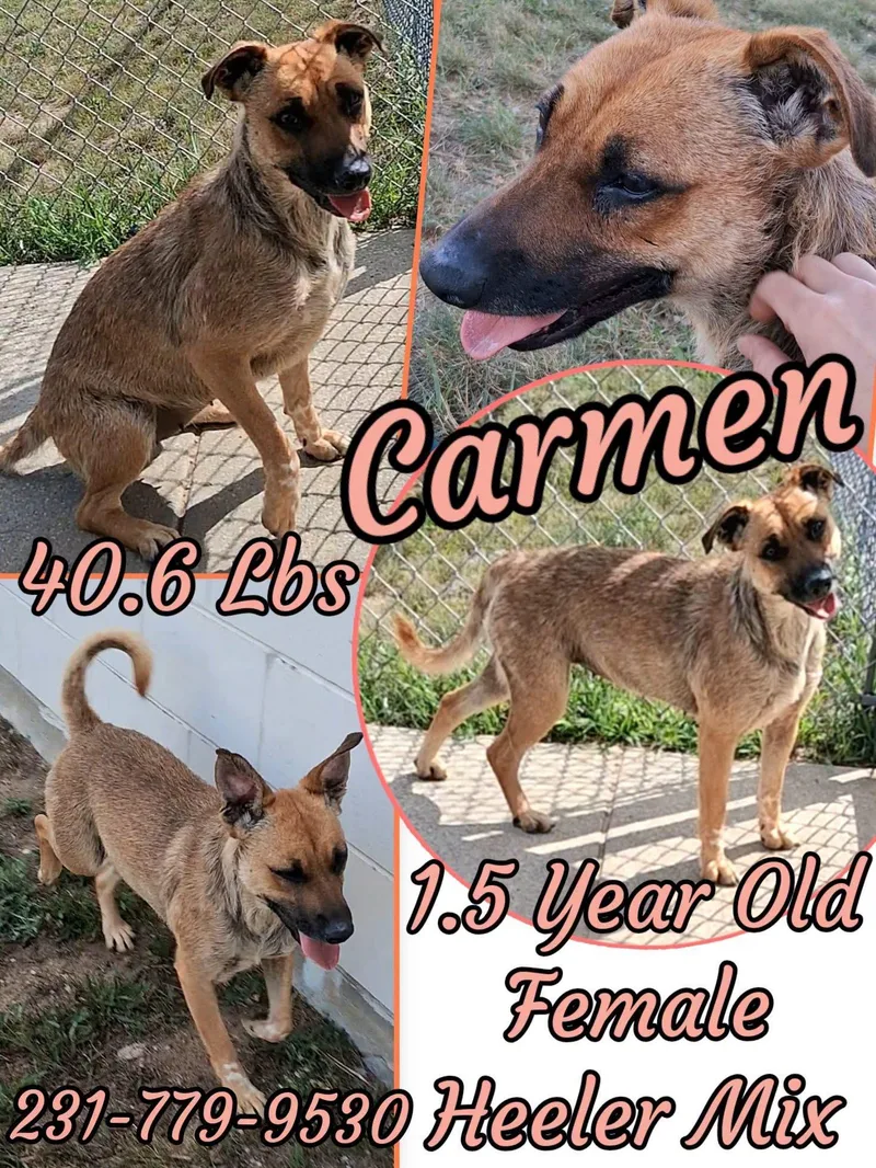 Carmen