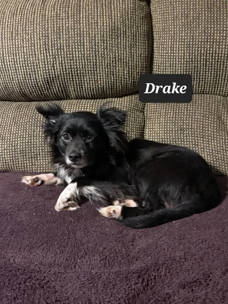 Drake