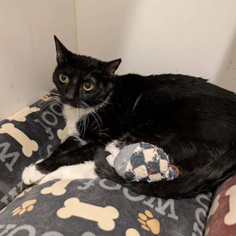 Ottercity Of Industry Location