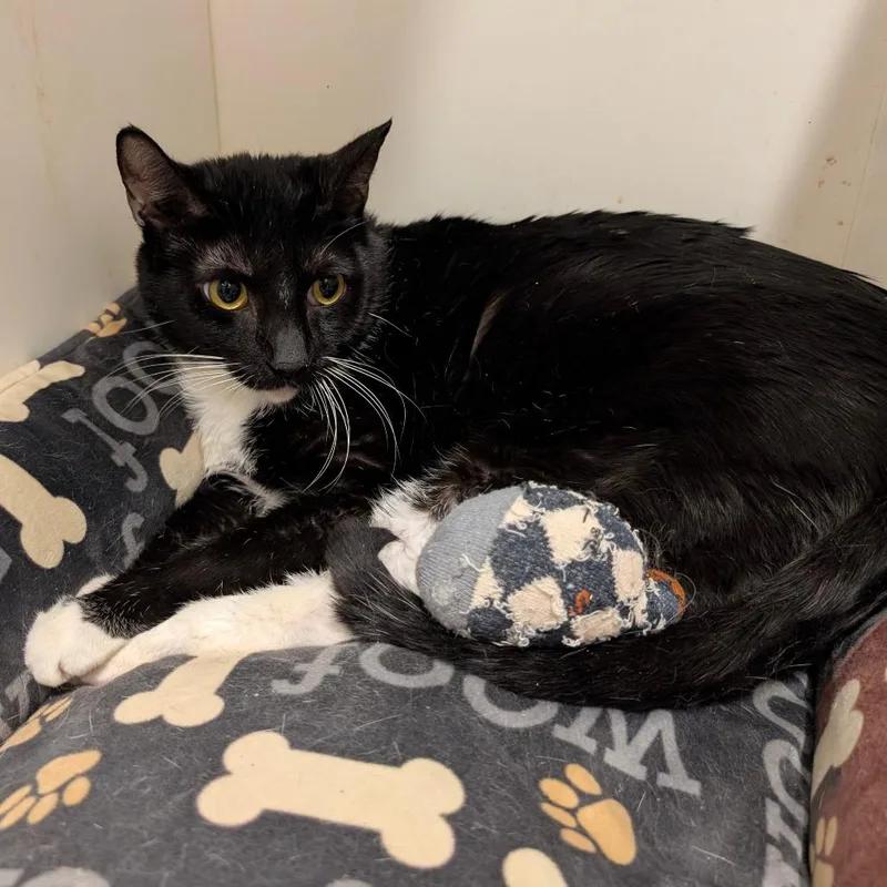 Ottercity Of Industry Location thumbnail 2