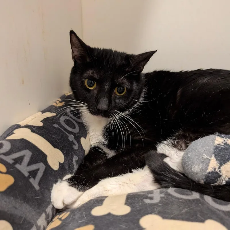 Ottercity Of Industry Location thumbnail 3