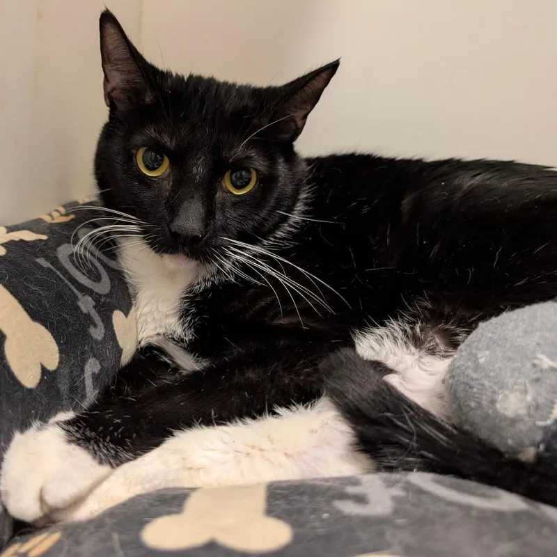 Ottercity Of Industry Location thumbnail 4