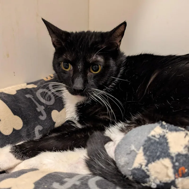 Ottercity Of Industry Location thumbnail 5